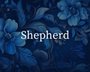 What Is The Spiritual Meaning Of The Name Shepherd?
